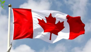 Canada giảm 1/3 visa du học, siết cấp phép lao động cho sinh viên quốc tế