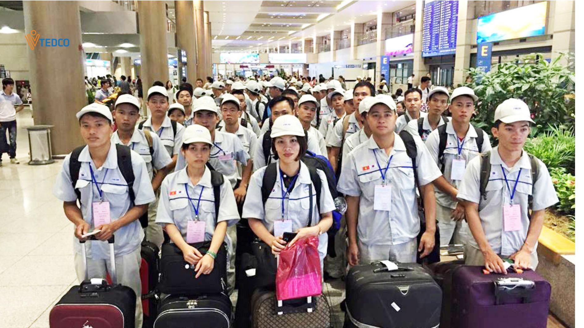 Sending over 90,000 people to work abroad, expanding the high-quality labor market.