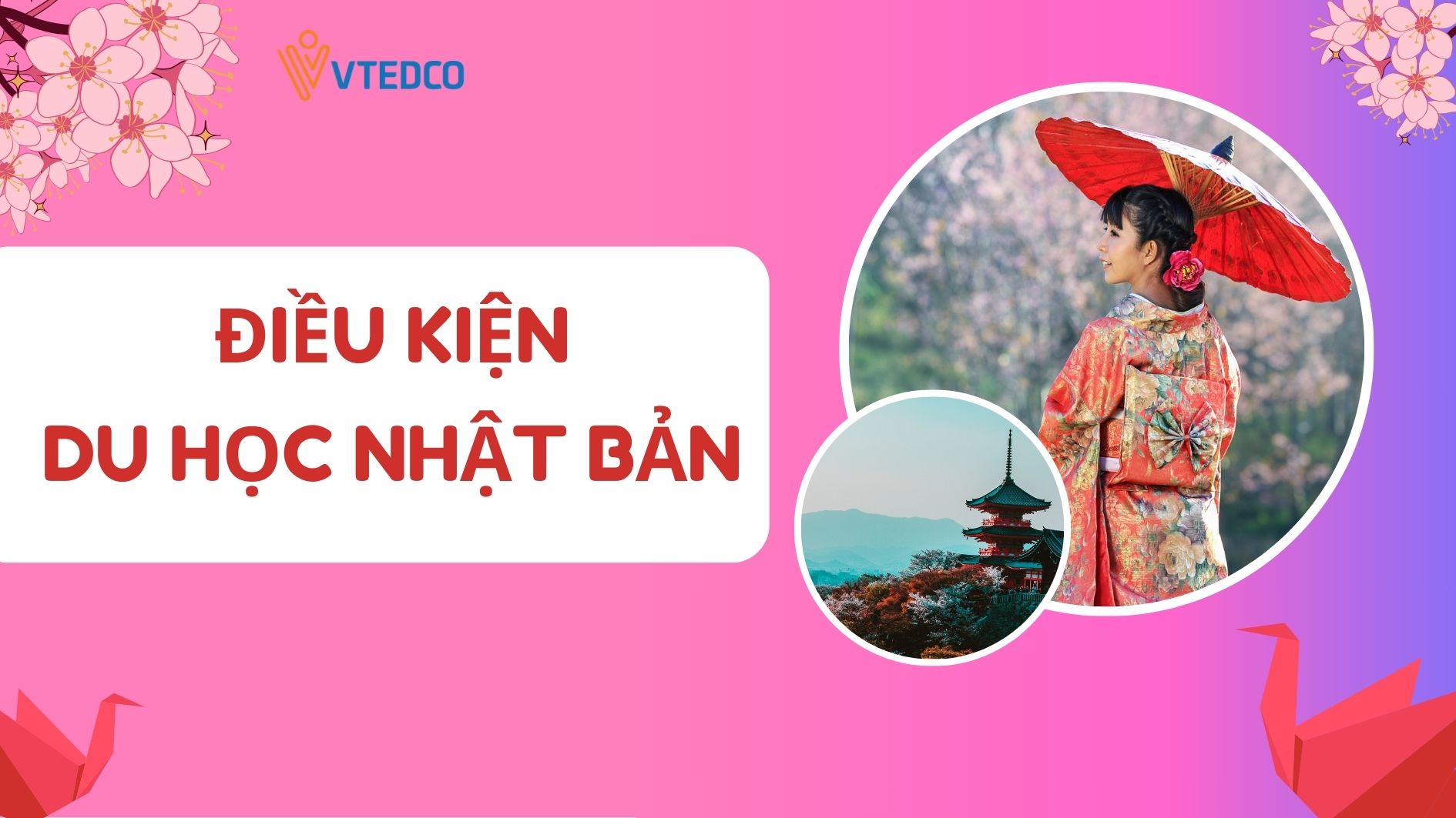 Du học Nhật Bản 2024: Điều kiện - Chi phí - Học bổng