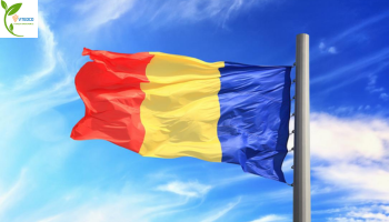 Chấn chỉnh lao động Việt 'uống rượu, đánh bạc' tại Romania