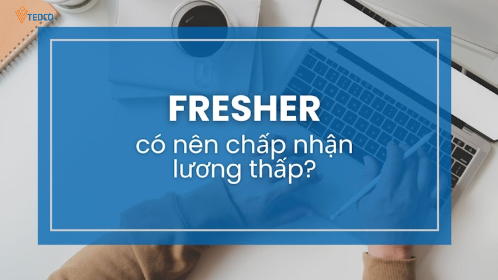 Fresher có nên chấp nhận mức lương thấp, xem như chi phí để học hỏi?