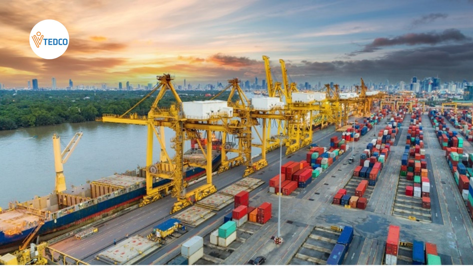 Doanh nghiệp cảng biển: Doanh thu khởi sắc, lợi nhuận phân hóa