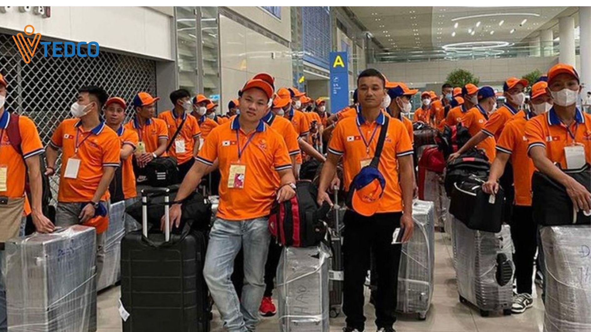 Training fees may only be collected after workers have been selected for overseas employment.