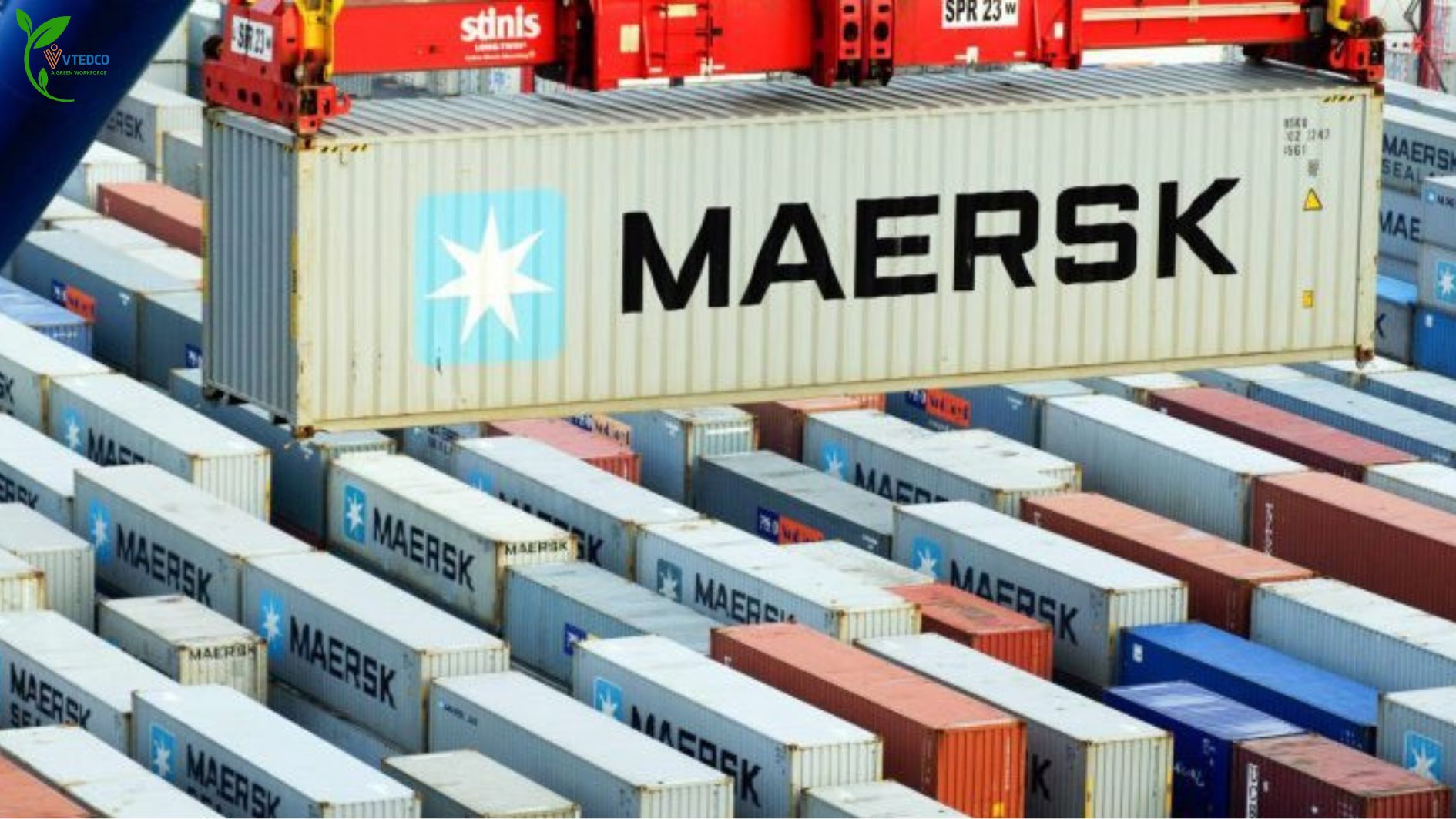  Lợi nhuận ròng của Maersk cao hơn mức dự báo