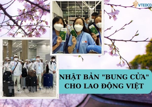 Nhật Bản 'bung cửa' cho lao động Việt